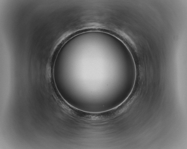 X0000116551318200912101405