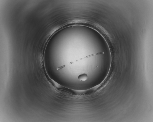 X0000116551321200912101405