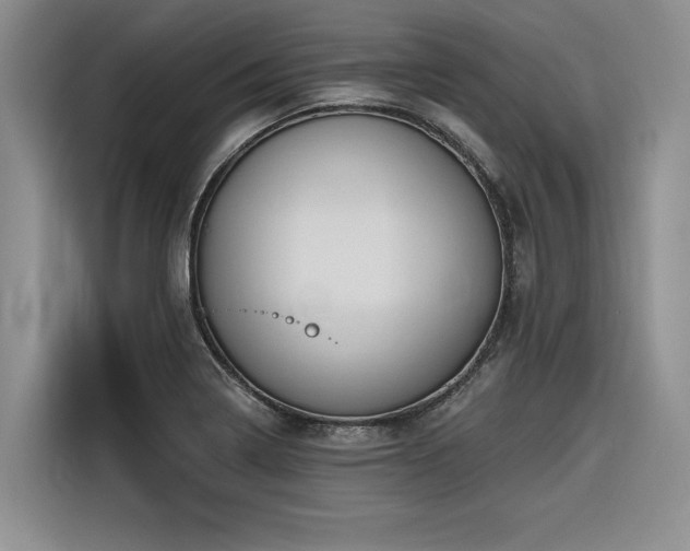 X0000116551322200912101405