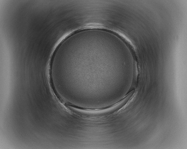 X0000116551325200912101405