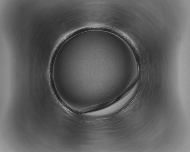 X0000116551327200912101405