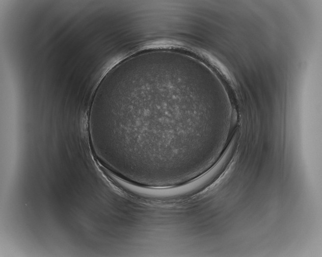 X0000116551329200912101405