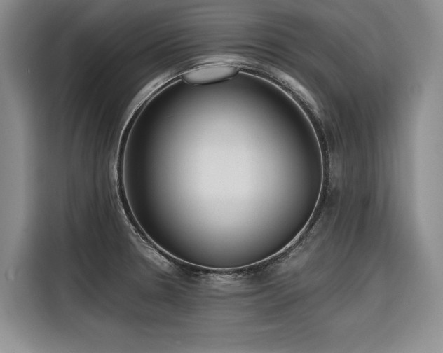 X0000116551330200912101405