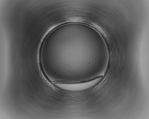 X0000116551331200912101405