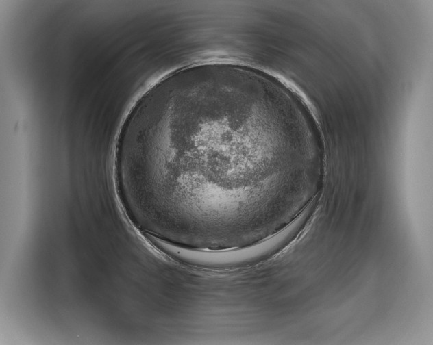 X0000116551333200912101405