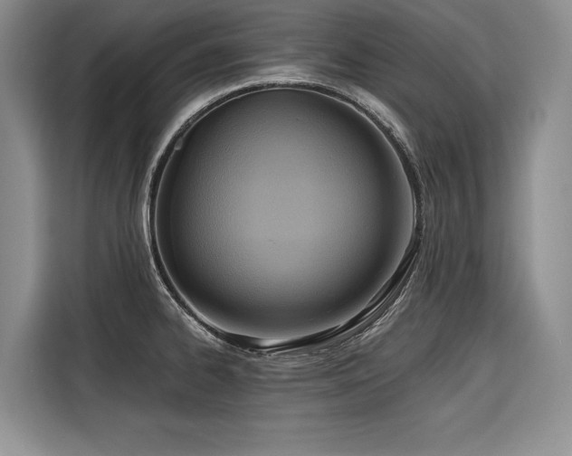 X0000116551334200912101405