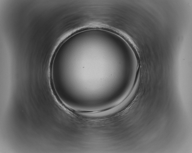X0000116551335200912101405