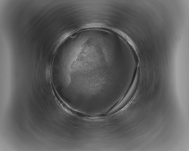 X0000116551337200912101405