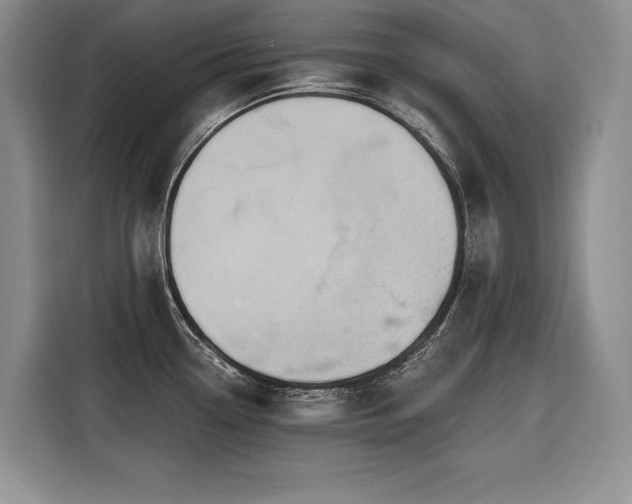 X0000116551338200912101405
