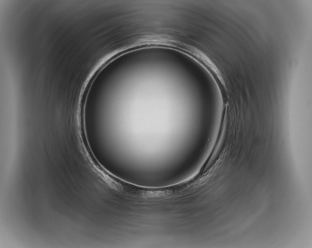 X0000116551339200912101405