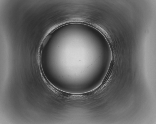 X0000116551342200912101405