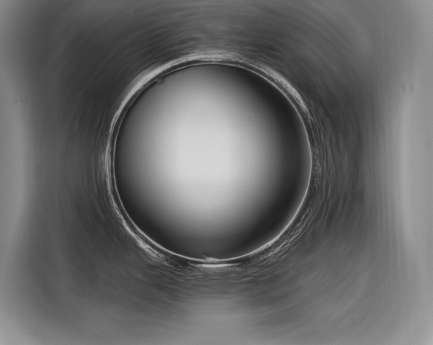 X0000116551343200912101405