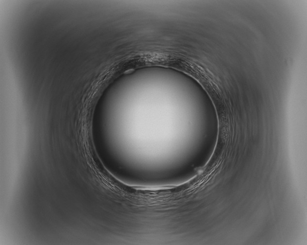 X0000116551345200912101404