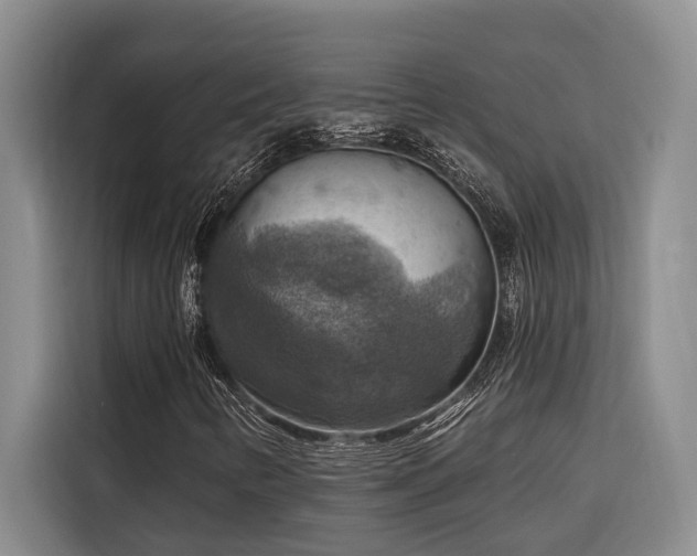 X0000116551346200912101404