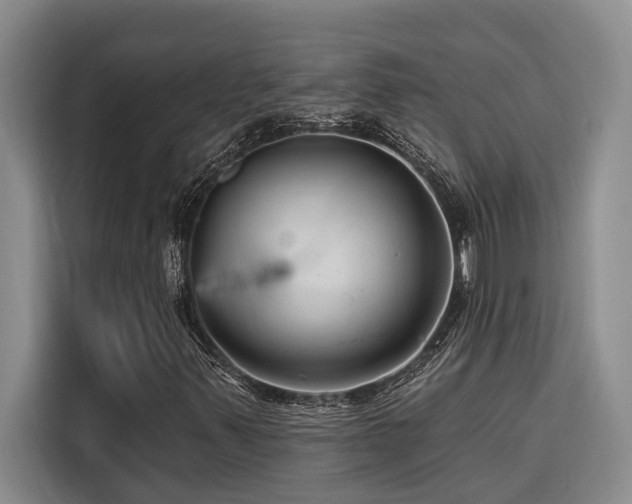 X0000116551347200912101404