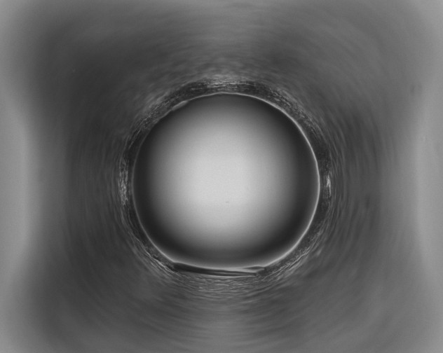 X0000116551348200912101404