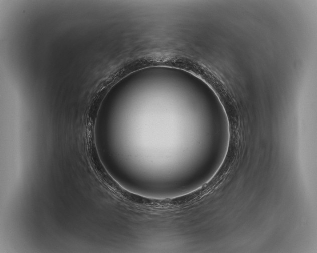 X0000116551349200912101404