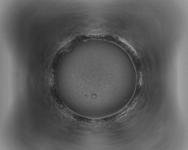 X0000116551350200912101404