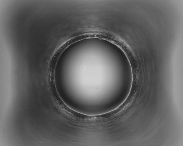 X0000116551352200912101404