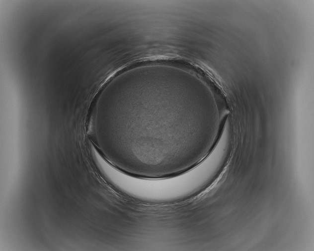 X0000116551353200912101404