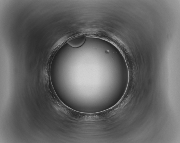 X0000116551354200912101404