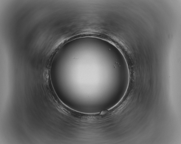 X0000116551355200912101404