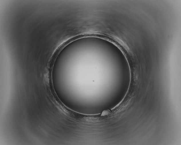 X0000116551356200912101404