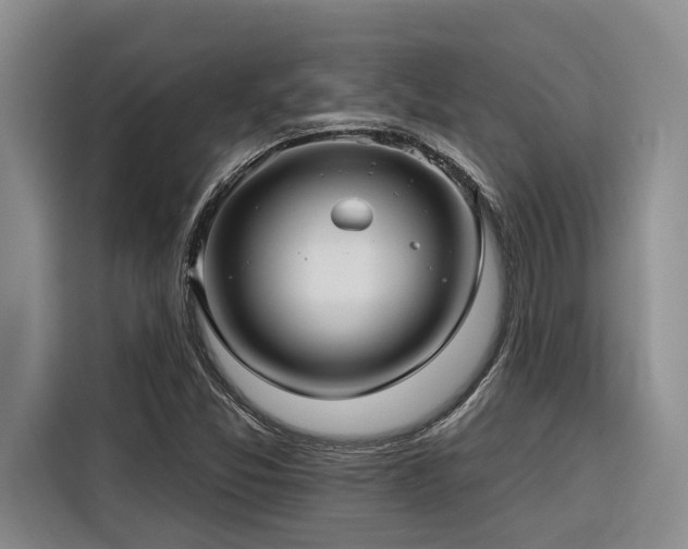 X0000116551357200912101404