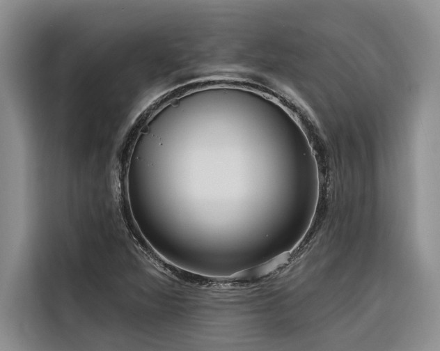 X0000116551360200912101404