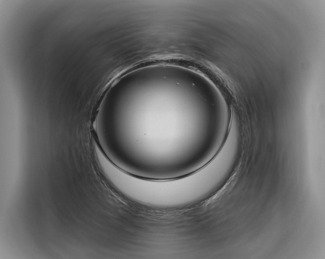 X0000116551361200912101404