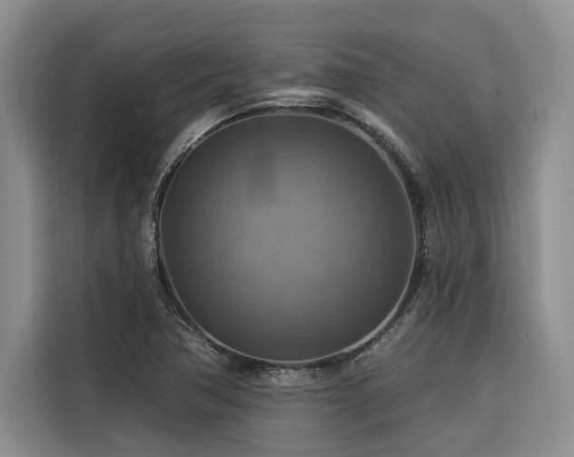 X0000116551362200912101404