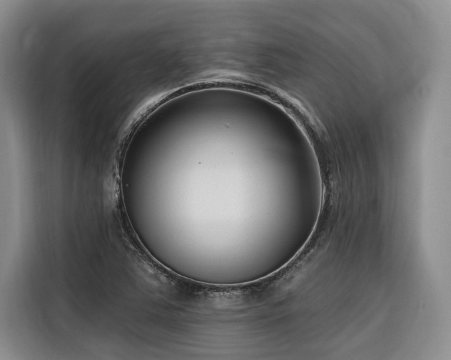 X0000116551363200912101404