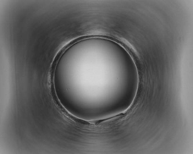 X0000116551364200912101404