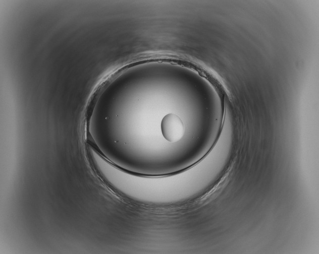 X0000116551365200912101404