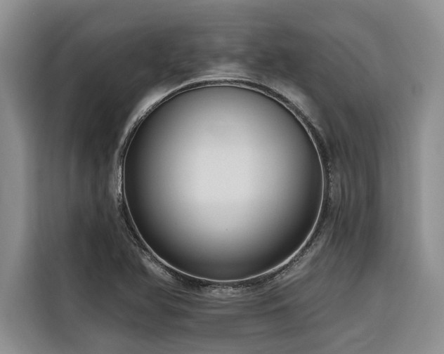 X0000116551366200912101404