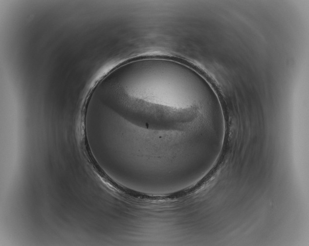 X0000116551367200912101404