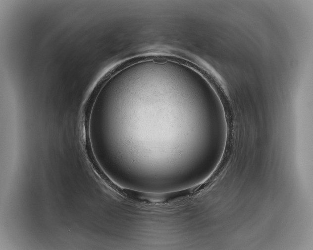 X0000116551368200912101404