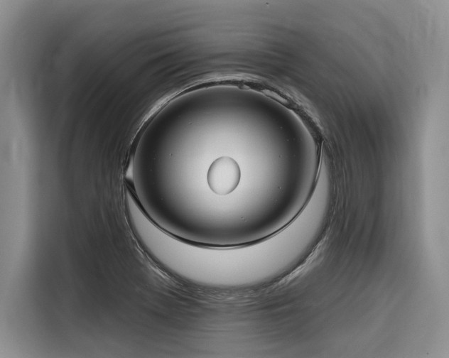 X0000116551369200912101404