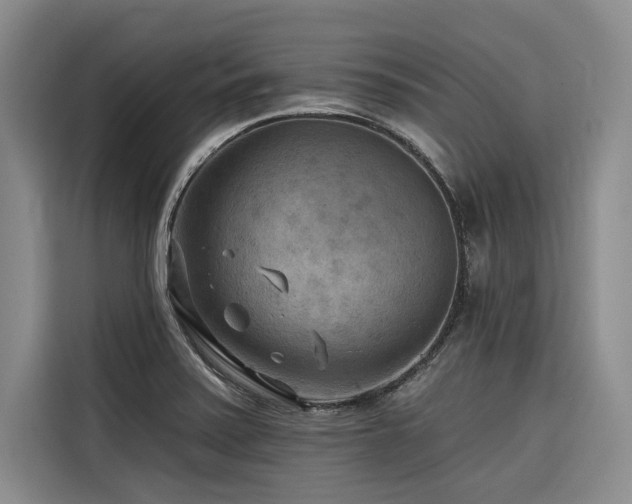 X0000116551371200912101404