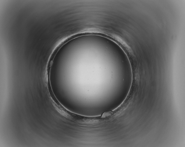 X0000116551372200912101404