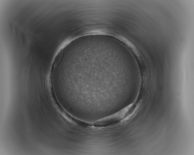 X0000116551373200912101404