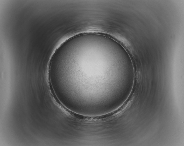 X0000116551374200912101404