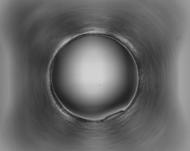 X0000116551375200912101404