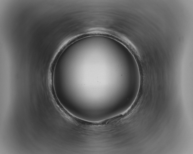 X0000116551376200912101404
