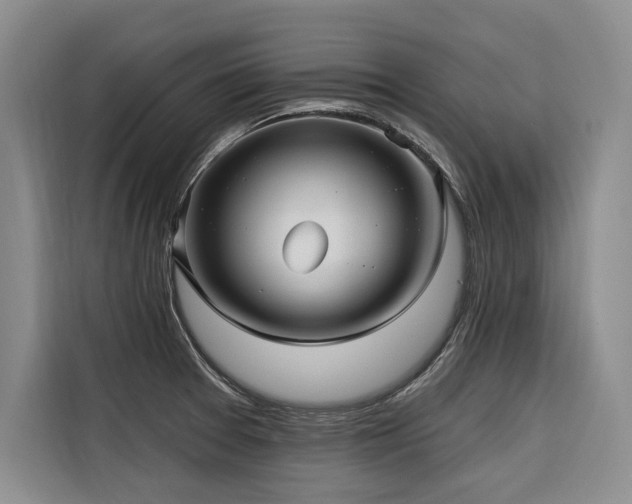 X0000116551377200912101404