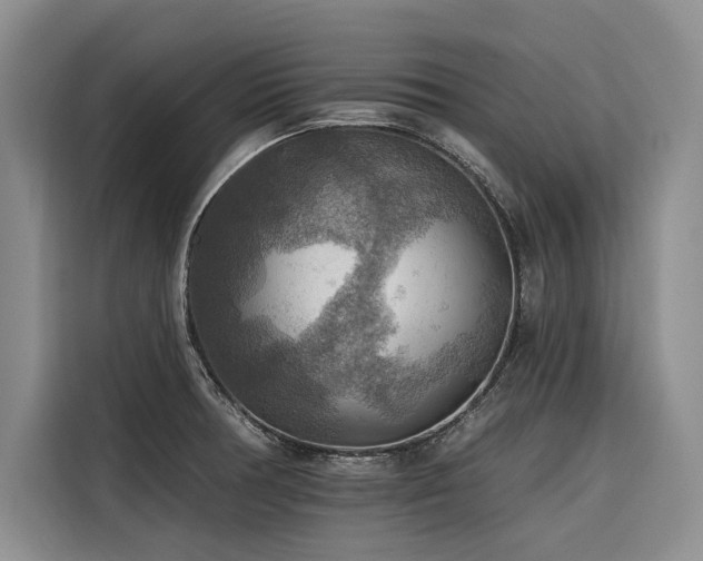 X0000116551378200912101404