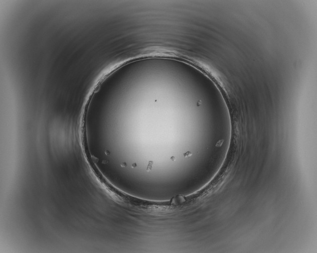 X0000116551379200912101404