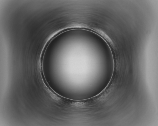 X0000116551380200912101404