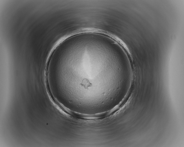 X0000116551381200912101404