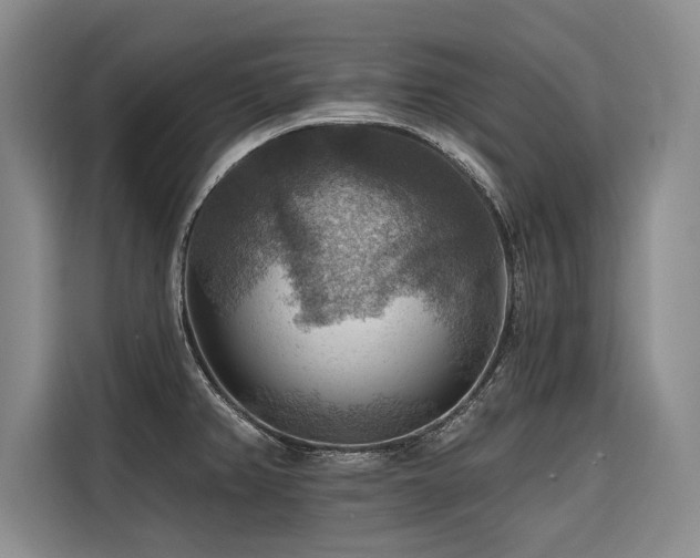 X0000116551382200912101404